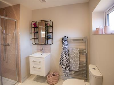 Picture 11